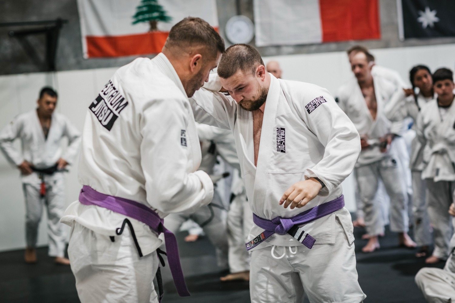 Purple belts drilling on the mats