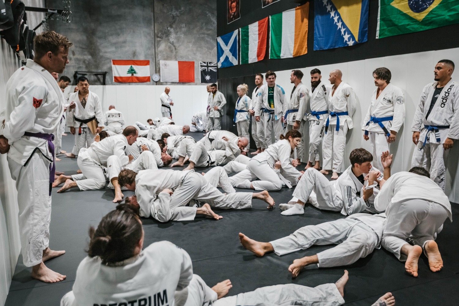 Full class on the mats under the flags