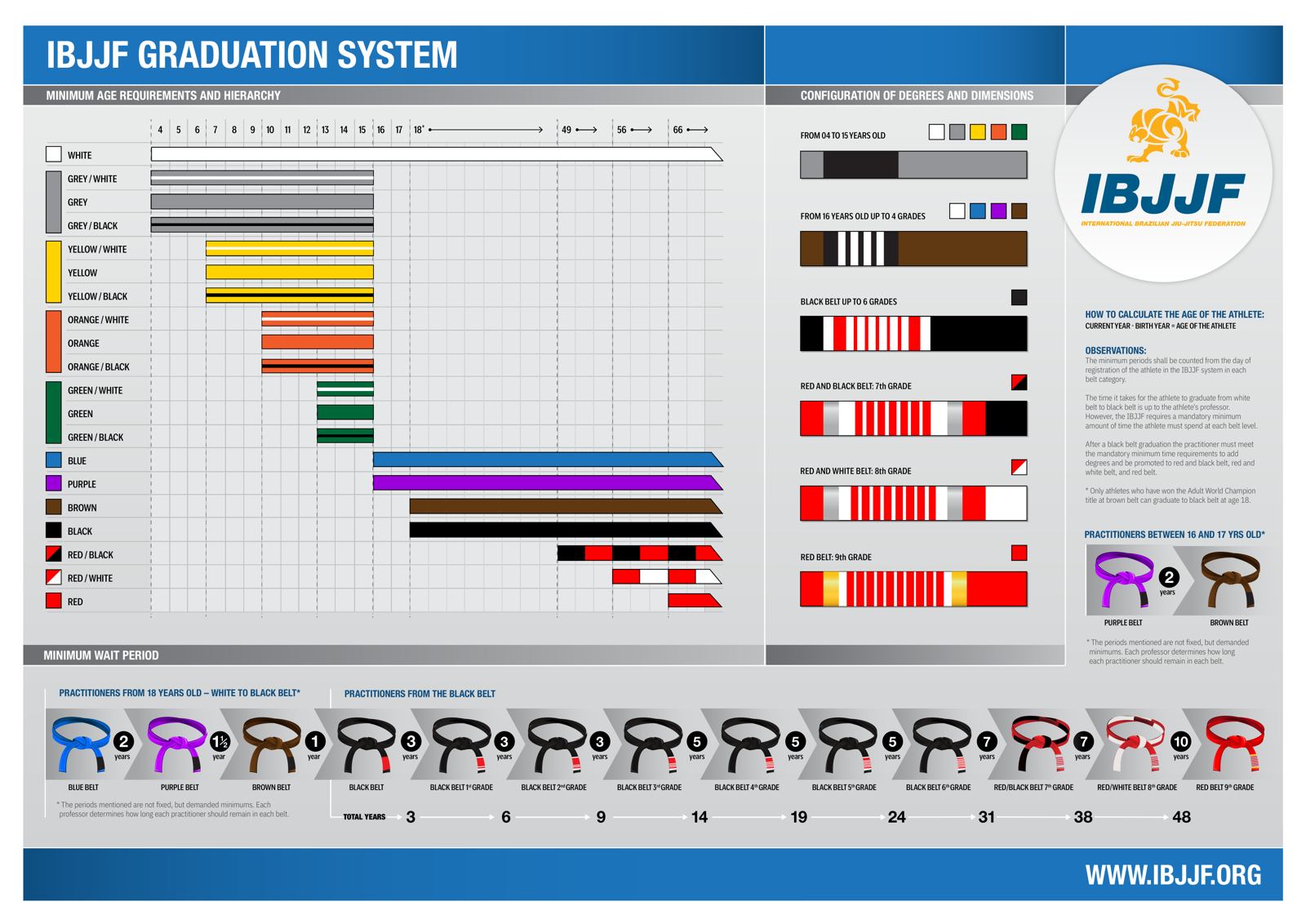 Spectrum jiu jitsu belt path, kids ages and adult ranks